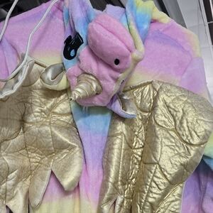 Peace Love & Dream Rainbow Unicorn Pjs Or  Costume with Gold Wings